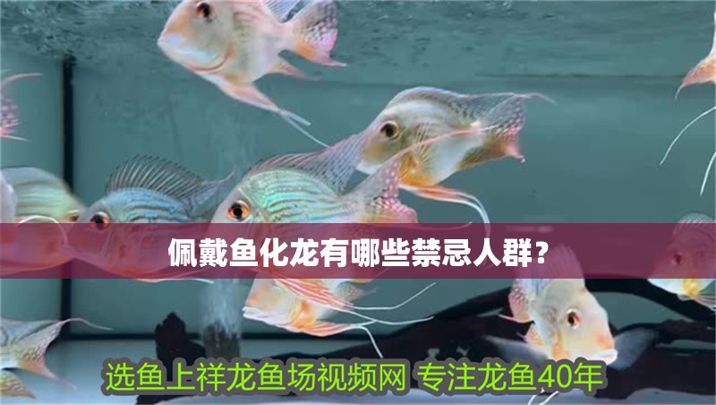 佩戴魚化龍有哪些禁忌人群？
