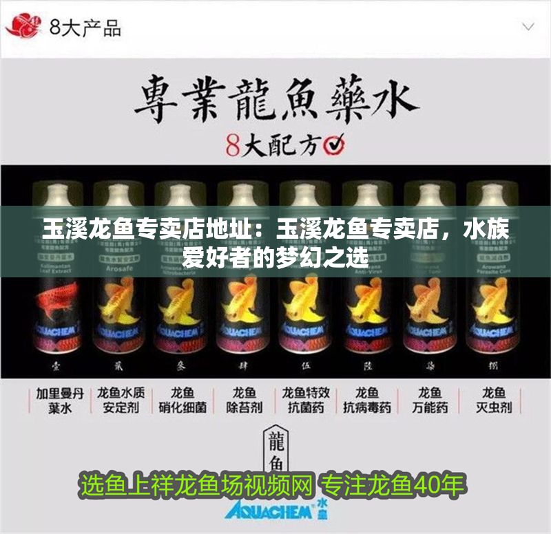 玉溪龍魚專賣店地址：玉溪龍魚專賣店，水族愛好者的夢幻之選