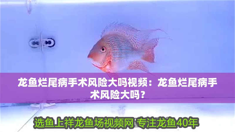 龍魚爛尾病手術風險大嗎視頻：龍魚爛尾病手術風險大嗎？