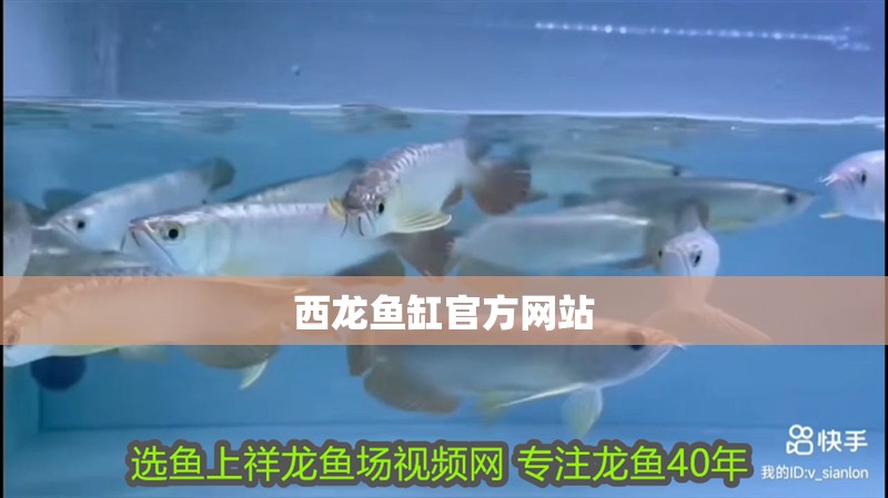 西龍魚缸官方網(wǎng)站 西龍魚缸官方網(wǎng)站 龍魚百科