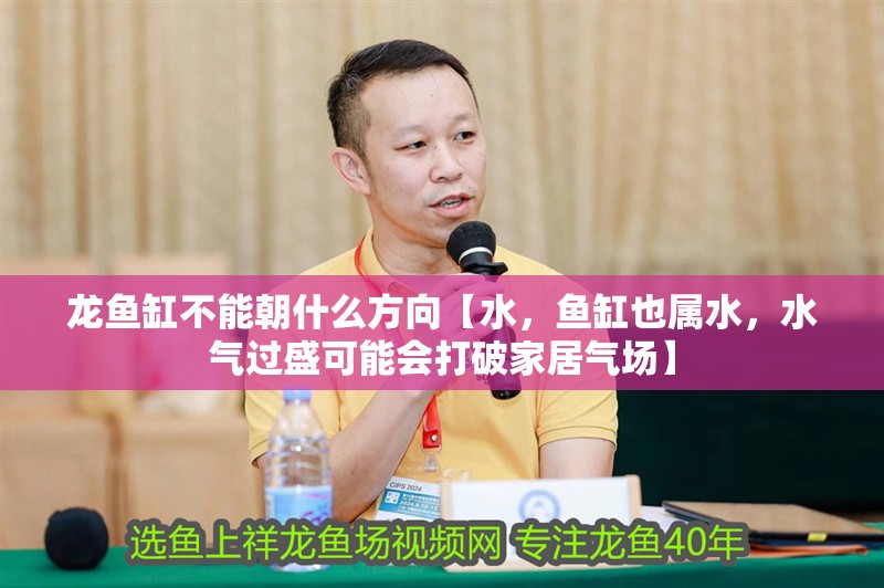 龍魚缸不能朝什么方向【水，魚缸也屬水，水氣過盛可能會打破家居氣場】