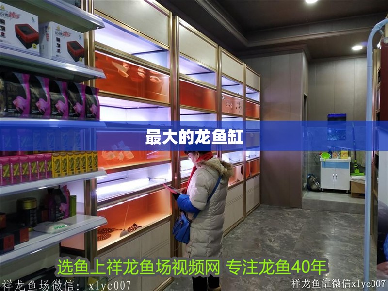 最大的龍魚缸