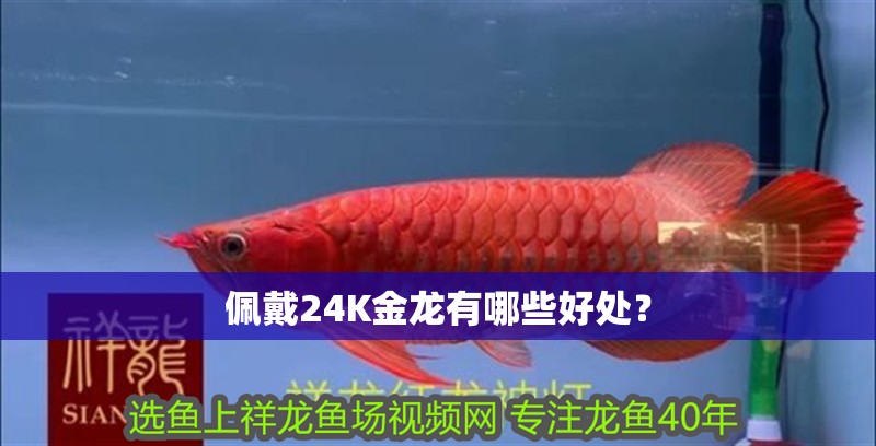 佩戴24K金龍有哪些好處？