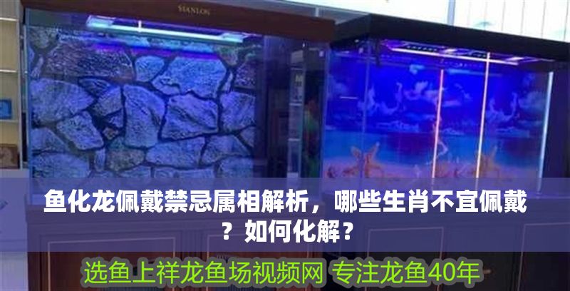 魚化龍佩戴禁忌屬相解析，哪些生肖不宜佩戴？如何化解？