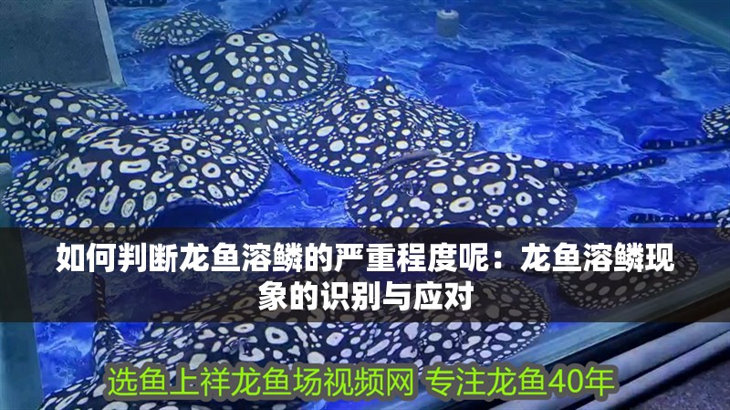 如何判斷龍魚溶鱗的嚴重程度呢：龍魚溶鱗現象的識別與應對