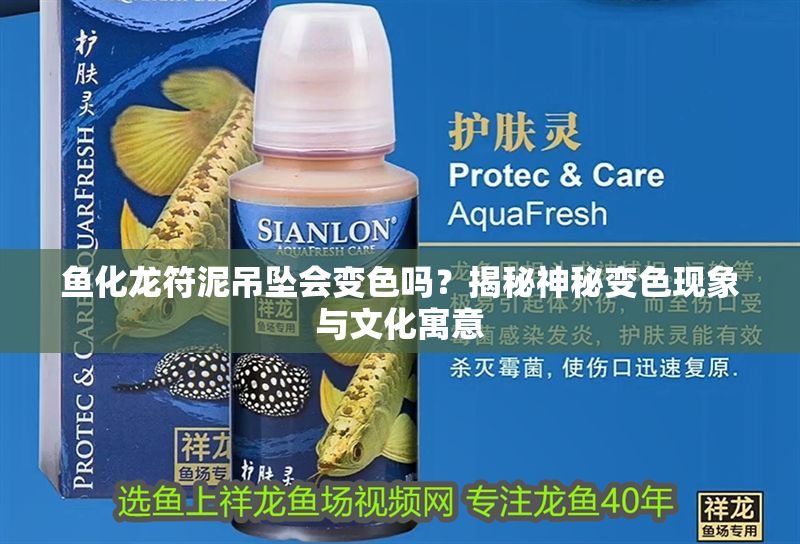 魚化龍符泥吊墜會變色嗎?揭秘神秘變色現象與文化寓意 龍魚百科 第1張 魚化龍符泥吊墜會變色嗎?揭秘神秘變色現象與文化寓意 魚化龍符泥吊墜會變色嗎?揭秘神秘變色現象與文化寓意 龍魚百科 第1張