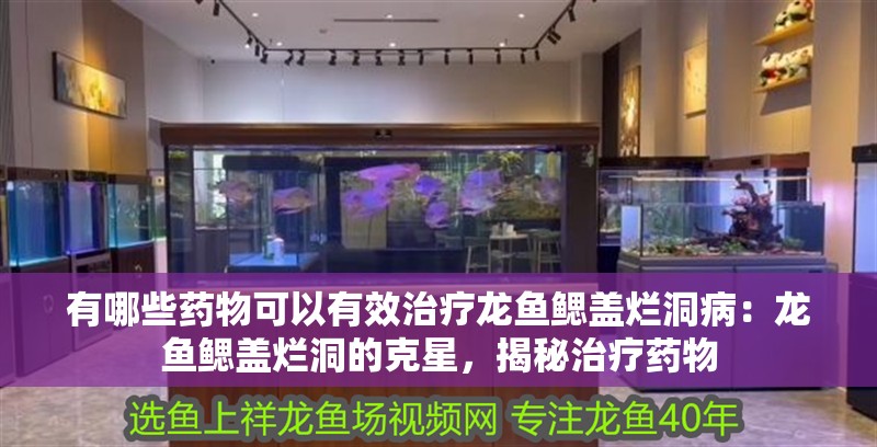 有哪些藥物可以有效治療龍魚鰓蓋爛洞病：龍魚鰓蓋爛洞的克星，揭秘治療藥物