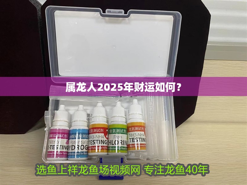 屬龍人2025年財(cái)運(yùn)如何？