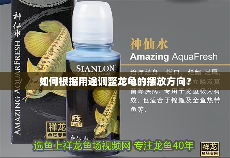 如何根據用途調整龍龜的擺放方向？