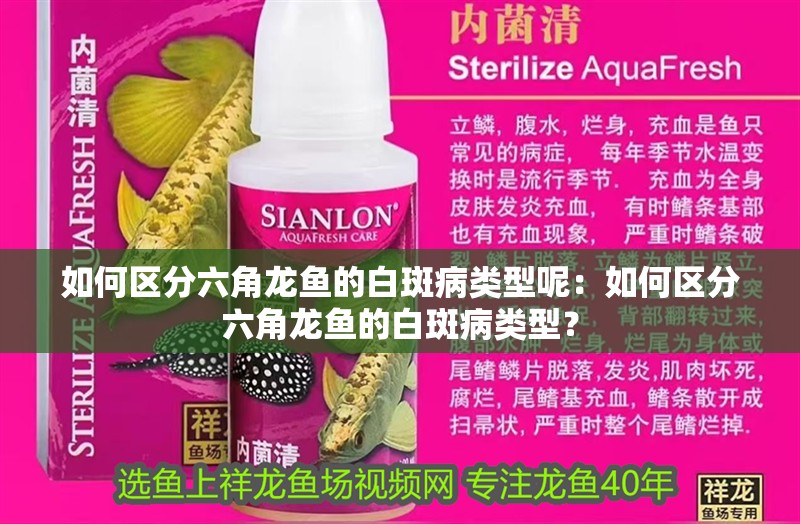 如何區分六角龍魚的白斑病類型呢：如何區分六角龍魚的白斑病類型？