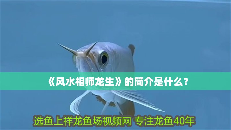 《風水相師龍生》的簡介是什么？