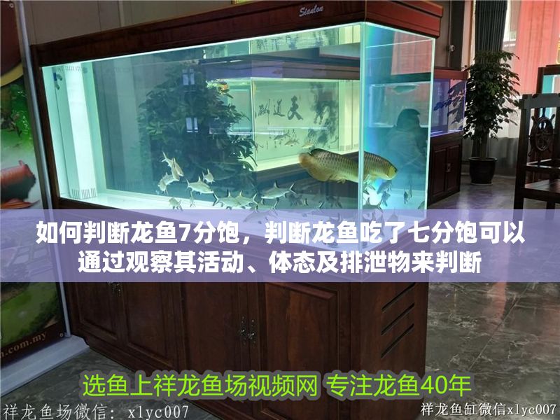 如何判斷龍魚7分飽，判斷龍魚吃了七分飽可以通過觀察其活動、體態(tài)及排泄物來判斷