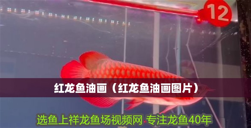 紅龍魚油畫（紅龍魚油畫圖片）
