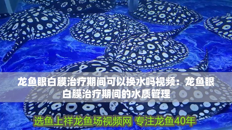 龍魚眼白膜治療期間可以換水嗎視頻：龍魚眼白膜治療期間的水質管理