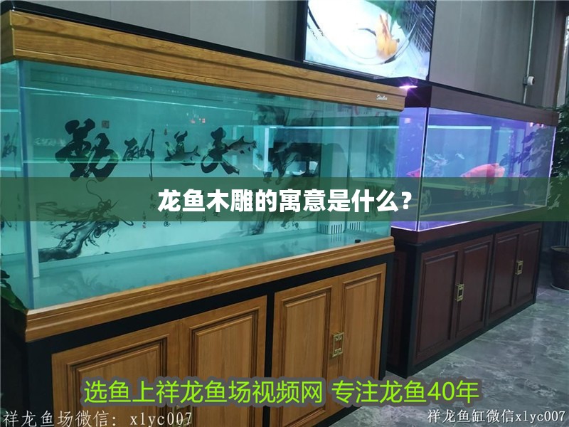 龍魚木雕的寓意是什么？