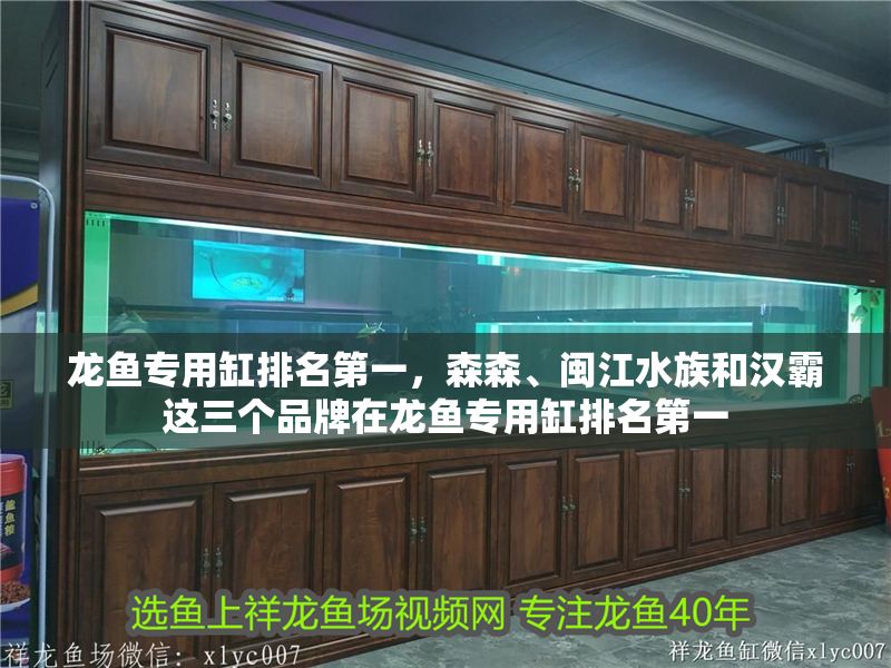 龍魚專用缸排名第一，森森、閩江水族和漢霸這三個(gè)品牌在龍魚專用缸排名第一