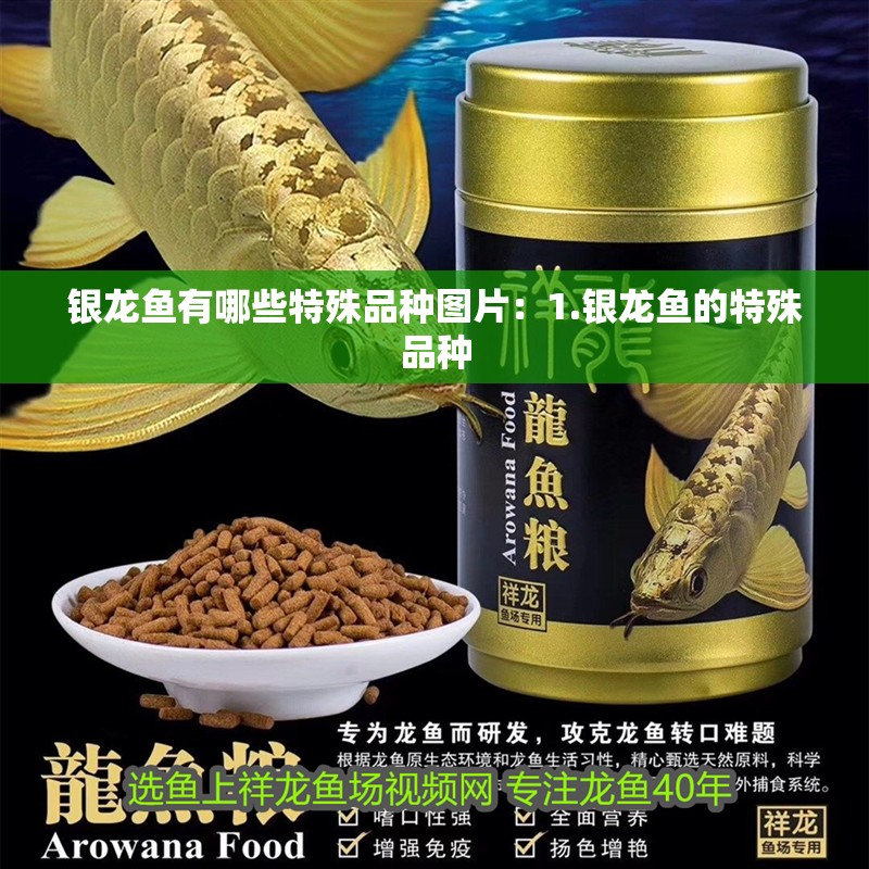 銀龍魚有哪些特殊品種圖片：1.銀龍魚的特殊品種