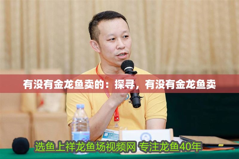 有沒有金龍魚賣的：探尋，有沒有金龍魚賣