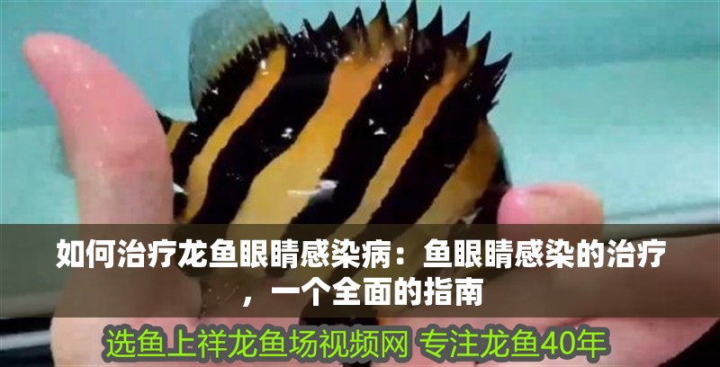 如何治療龍魚(yú)眼睛感染病：魚(yú)眼睛感染的治療，一個(gè)全面的指南