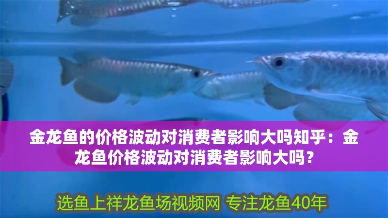 金龍魚的價格波動對消費者影響大嗎知乎：金龍魚價格波動對消費者影響大嗎？