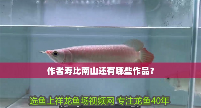 作者壽比南山還有哪些作品？ 作者壽比南山還有哪些作品？ 龍魚百科