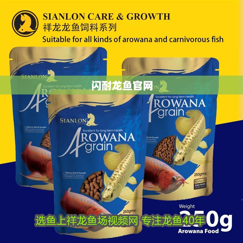 閃耐龍魚官網(wǎng)