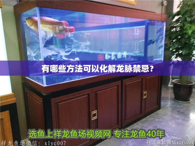 有哪些方法可以化解龍脈禁忌？ 有哪些方法可以化解龍脈禁忌？ 龍魚百科