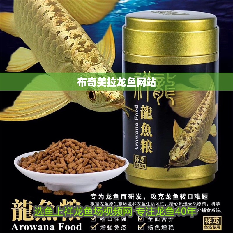 布奇美拉龍魚網站