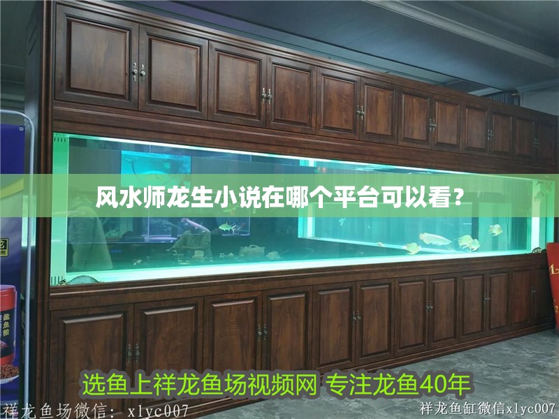 風水師龍生小說在哪個平臺可以看？