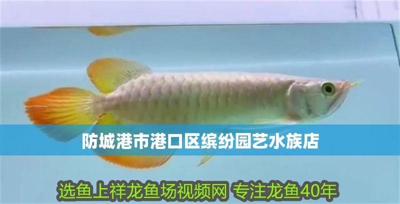 防城港市港口區繽紛園藝水族店
