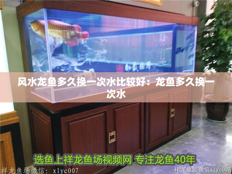 風水龍魚多久換一次水比較好：龍魚多久換一次水