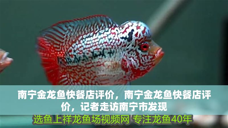 南寧金龍魚快餐店評價，南寧金龍魚快餐店評價，記者走訪南寧市發現