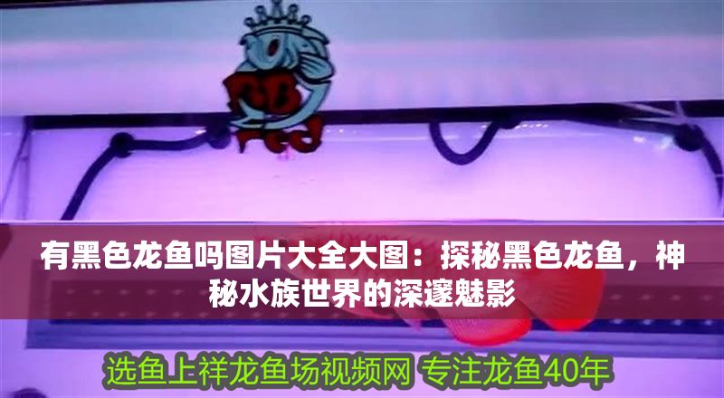 有黑色龍魚嗎圖片大全大圖：探秘黑色龍魚，神秘水族世界的深邃魅影