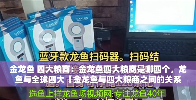 金龍魚 四大糧商：金龍魚四大糧商是哪四個，龍魚與全球四大【金龍魚與四大糧商之間的關系】 金龍魚 四大糧商：金龍魚四大糧商是哪四個，龍魚與全球四大【金龍魚與四大糧商之間的關系】 水族問答