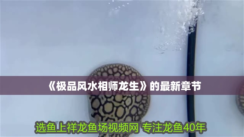 《極品風水相師龍生》的最新章節