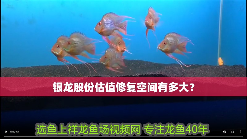 銀龍股份估值修復空間有多大？