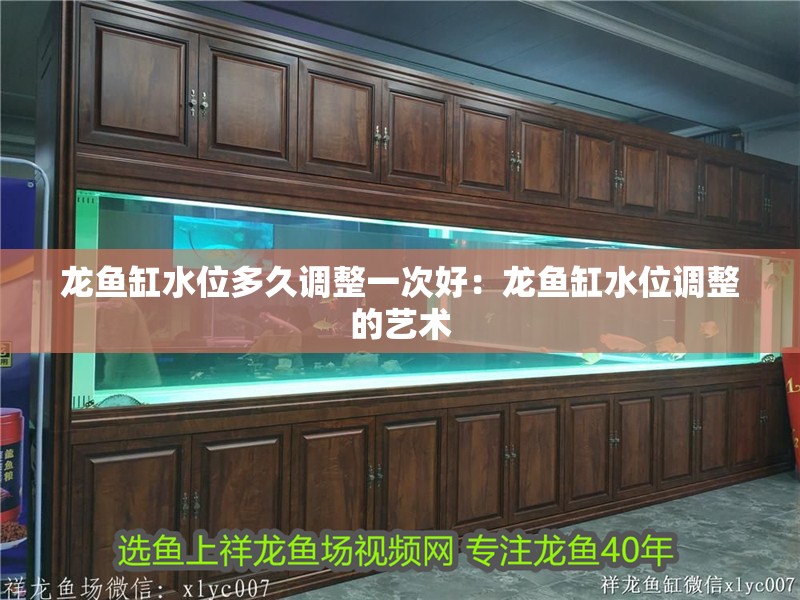 龍魚缸水位多久調整一次好：龍魚缸水位調整的藝術