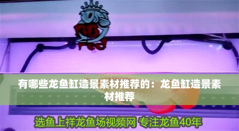 有哪些龍魚缸造景素材推薦的：龍魚缸造景素材推薦