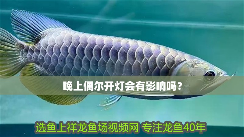 晚上偶爾開燈會有影響嗎？ 晚上偶爾開燈會有影響嗎？ 龍魚百科
