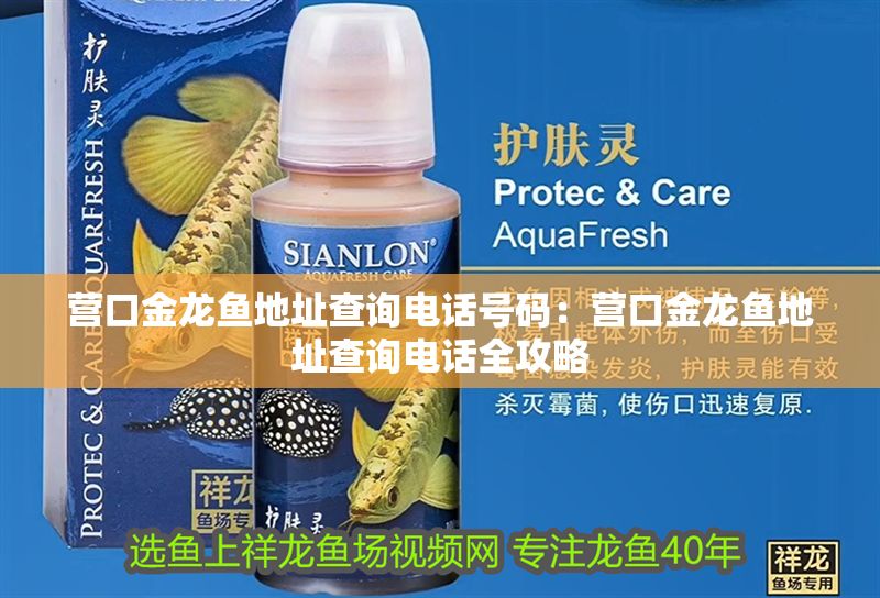 營口金龍魚地址查詢電話號碼：營口金龍魚地址查詢電話全攻略