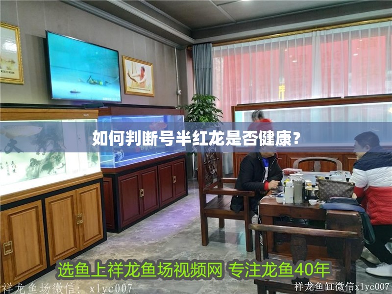 如何判斷號半紅龍是否健康？