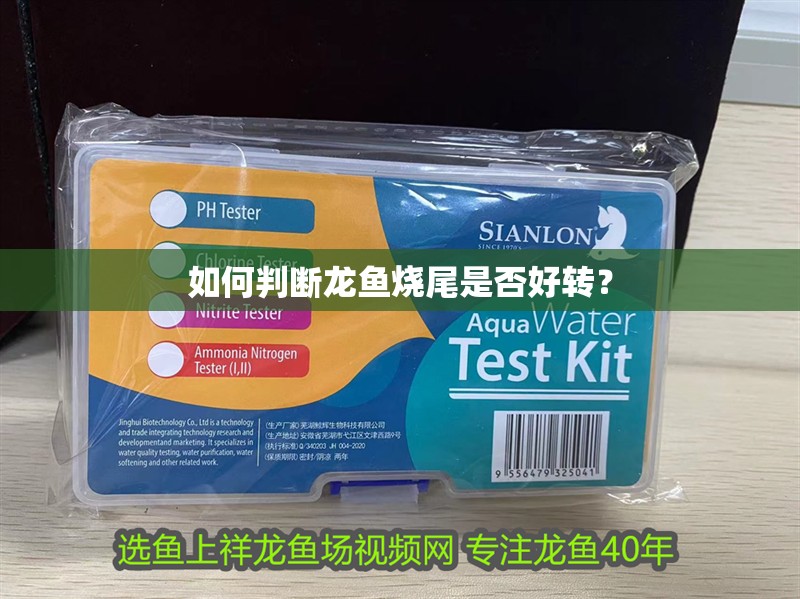 魚缸用增氧泵價格是多少:魚缸增氧機-xtrac增氧機-xtrac增氧機 如何判斷龍魚燒尾是否好轉? 龍魚百科 如何判斷龍魚燒尾是否好轉? 如何判斷龍魚燒尾是否好轉? 龍魚百科