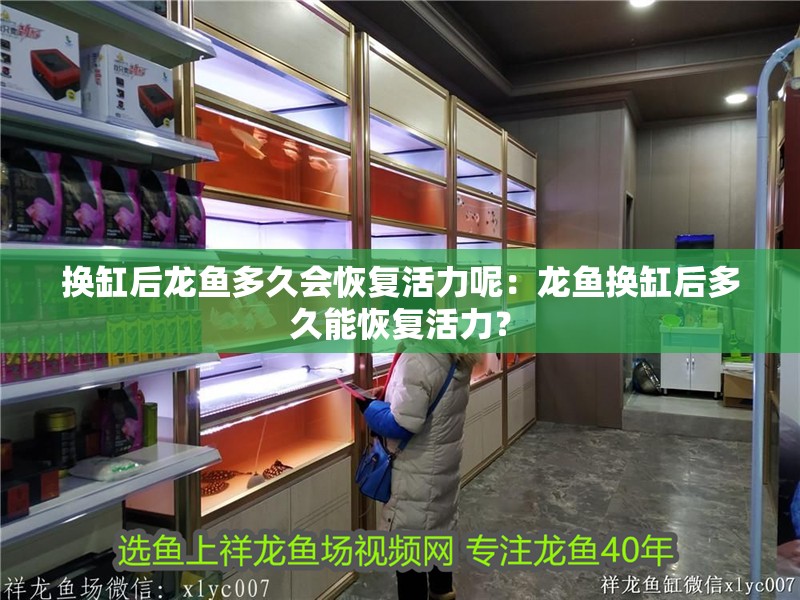 換缸后龍魚多久會(huì)恢復(fù)活力呢：龍魚換缸后多久能恢復(fù)活力？