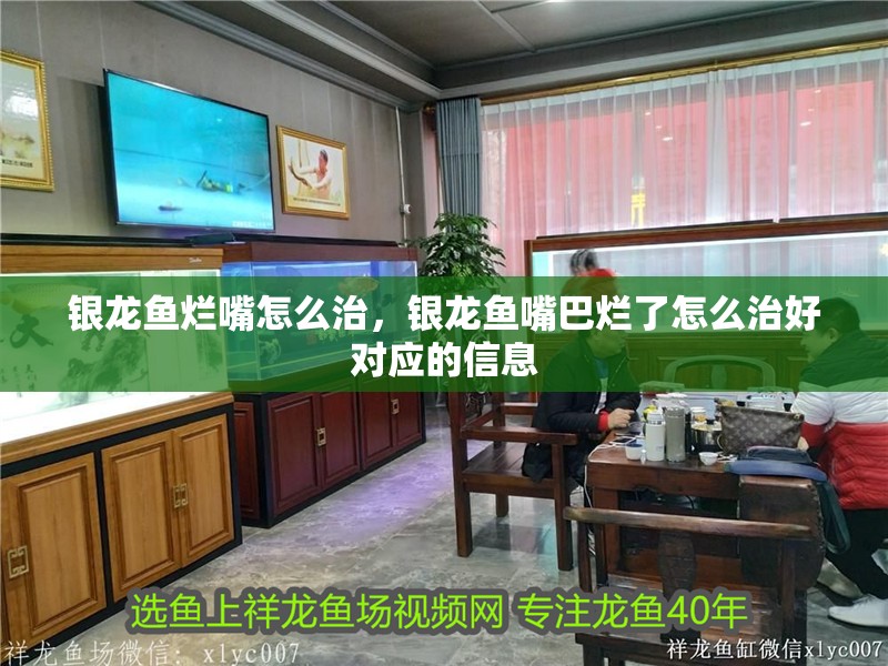 龍魚怕什么 銀龍魚爛嘴怎么治,銀龍魚嘴巴爛了怎么治好對應的信息 銀龍魚百科 銀龍魚爛嘴怎么治,銀龍魚嘴巴爛了怎么治好對應的信息 銀龍魚爛嘴怎么治,銀龍魚嘴巴爛了怎么治好對應的信息 銀龍魚百科