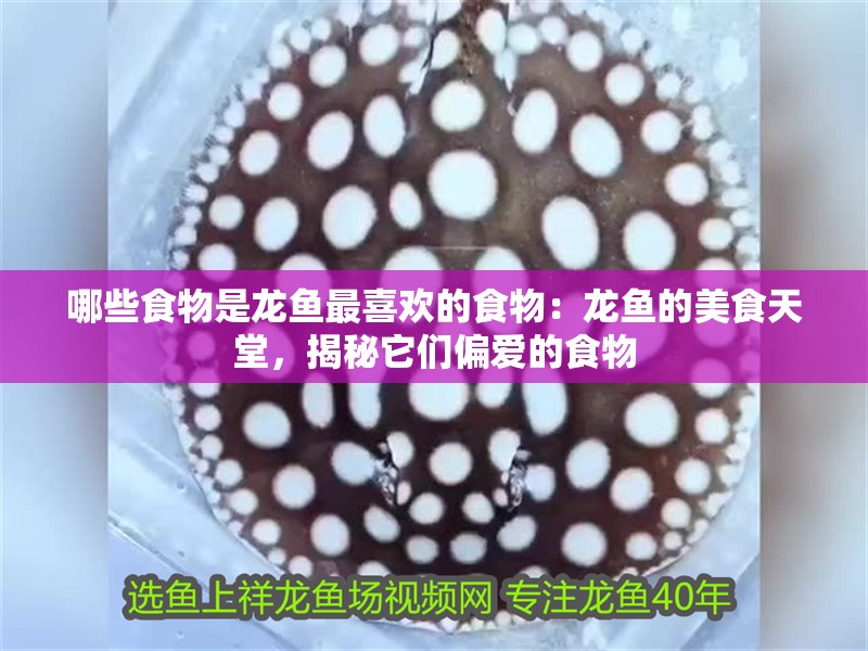 哪些食物是龍魚最喜歡的食物：龍魚的美食天堂，揭秘它們偏愛的食物