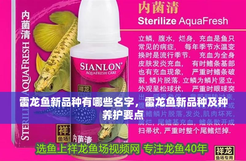 雷龍魚新品種有哪些名字，雷龍魚新品種及種養(yǎng)護(hù)要點(diǎn)