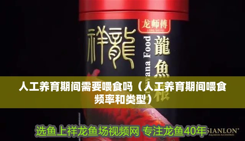 人工養育期間需要喂食嗎（人工養育期間喂食頻率和類型）