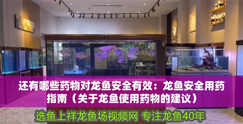 還有哪些藥物對龍魚安全有效：龍魚安全用藥指南（關于龍魚使用藥物的建議）