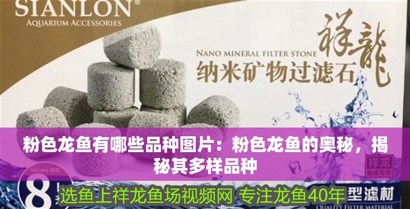 粉色龍魚有哪些品種圖片：粉色龍魚的奧秘，揭秘其多樣品種