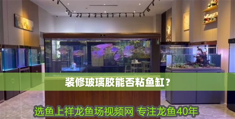 裝修玻璃膠能否粘魚缸？